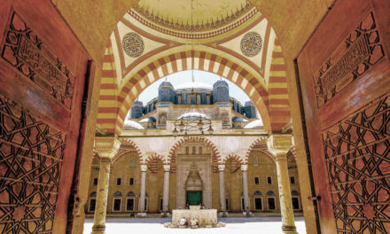 Selimiye Mosque and its Social Complex (2011)